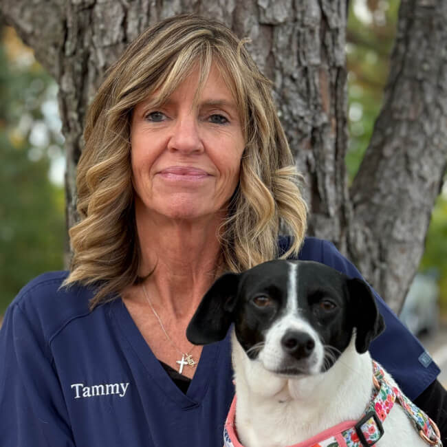 Tammy
