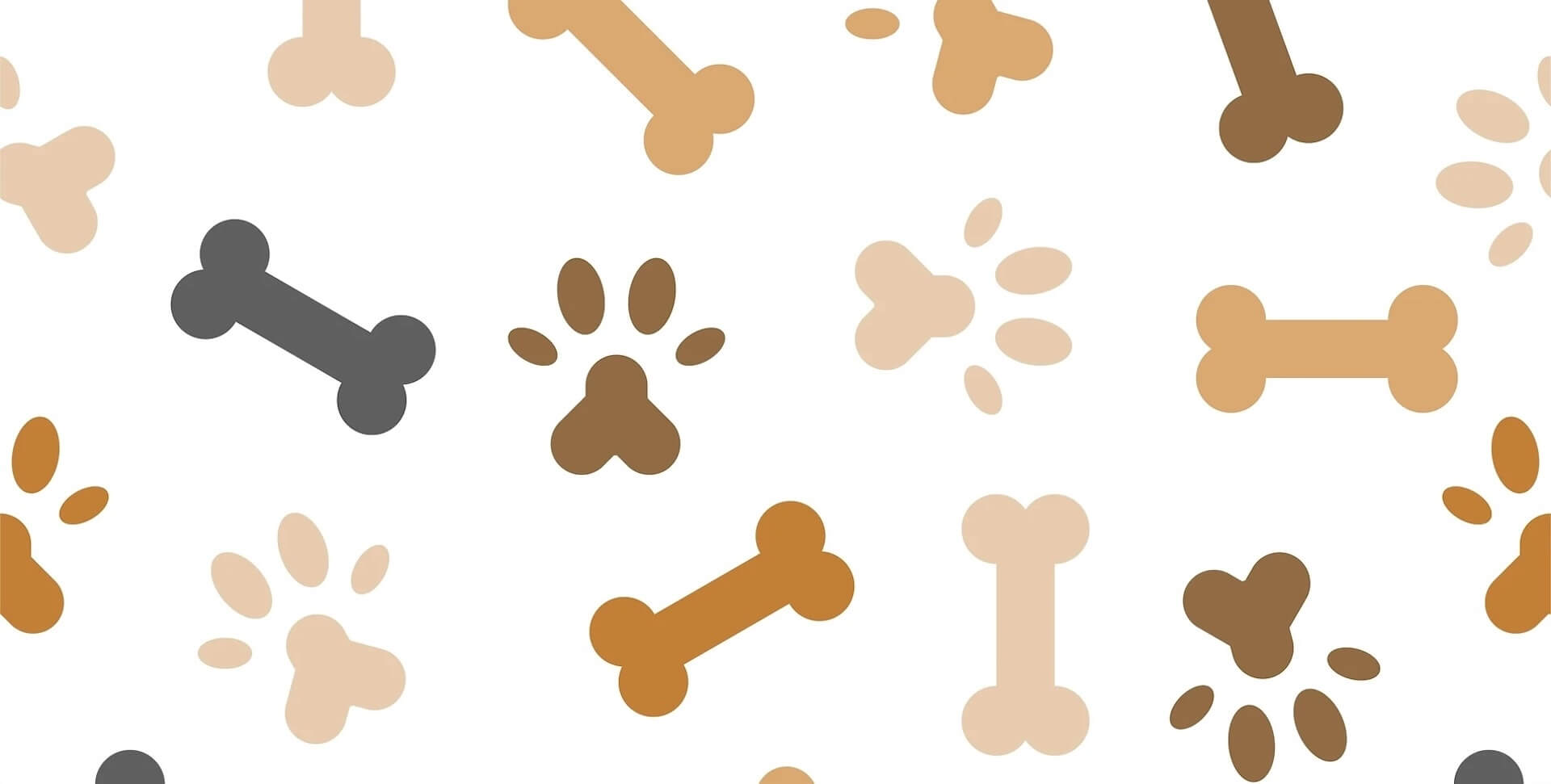 Collierville Veterinarian