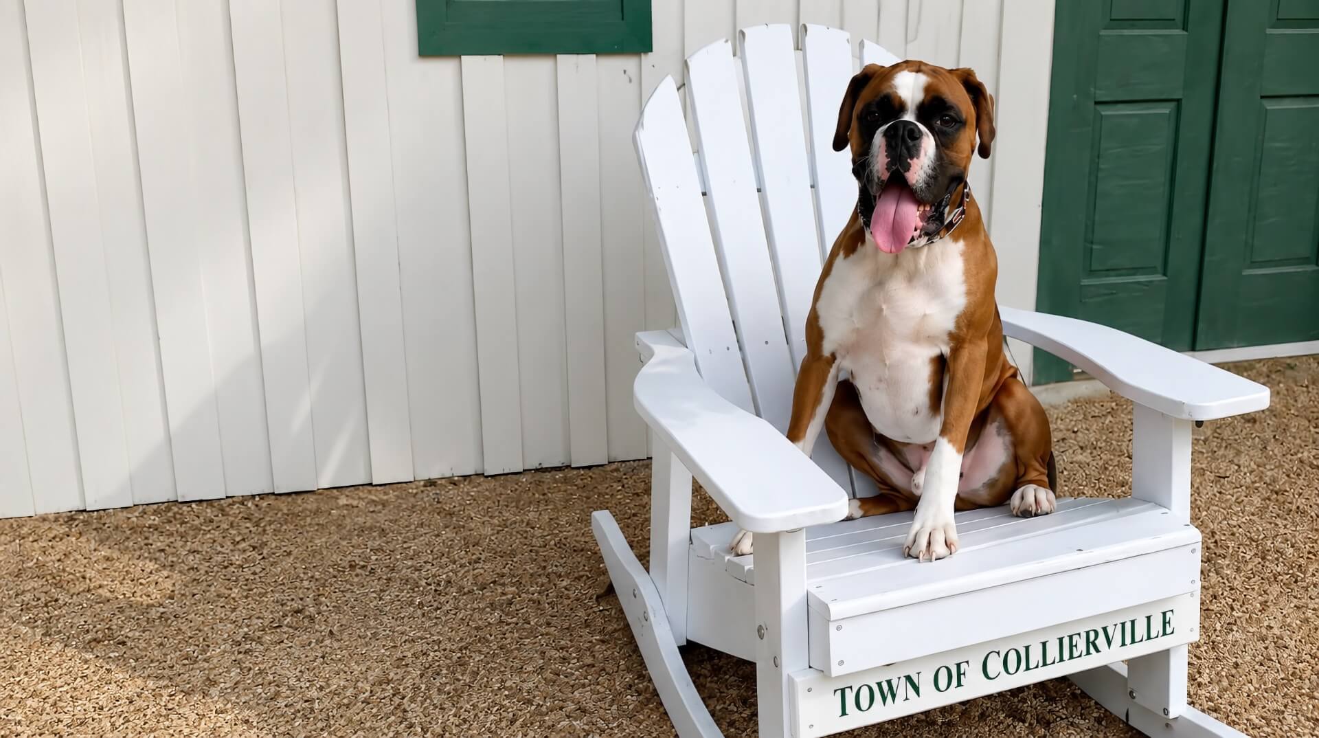 Veterinary Clinic in Collierville Mobile Slider