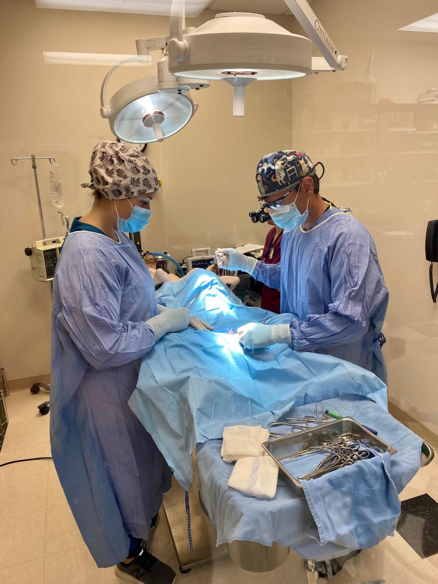 Two veterinary surgeons performing a procedure under surgical lights in an operating room in Collierville